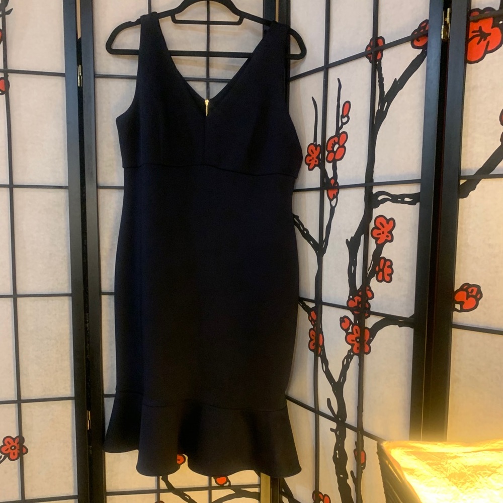 DK Dress, Size 14 Bundle with Tahari coat